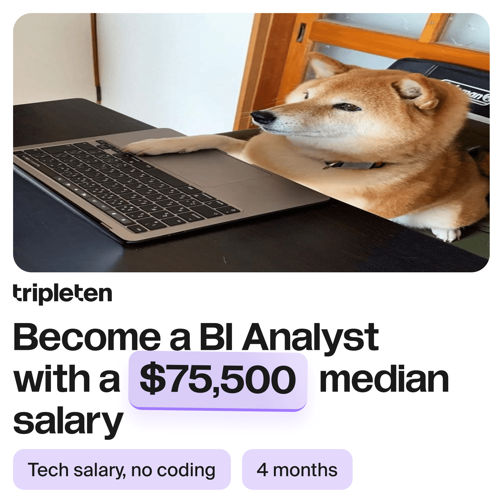 Баннер TripleTen